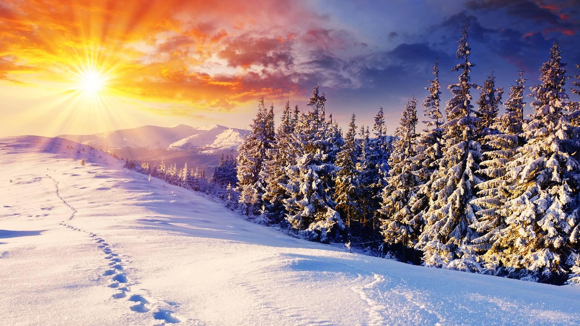 初雪留言电影海报